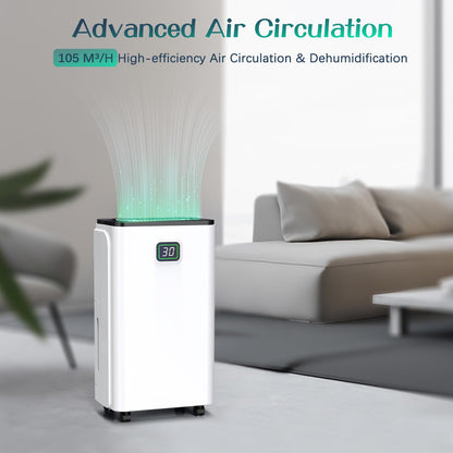 12L/Day Dehumidifiers for Home, Dehumidifier with Digital Humidity Display & Control, 24H Timer, Continuous Drain, 2.5L Water Tank & Drain Hose for Damp & Condensation, Ideal for Basement/Large Room