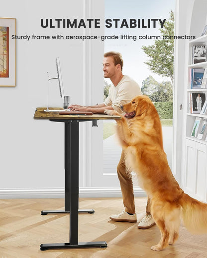 ErGear Electric Standing Desk Height Adjustable 120 x 60cm, Sit Stand Desk with 4 Memory Smart Pannel for Home Office with Splice Board